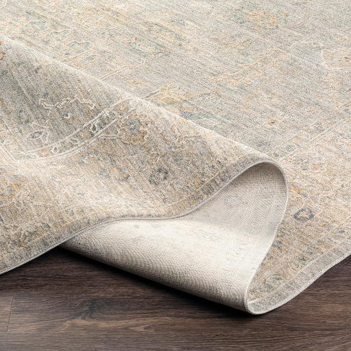 Avant Garde Area Rug