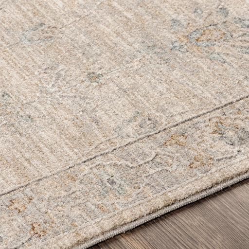 Avant Garde Area Rug