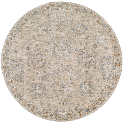 Avant Garde Area Rug