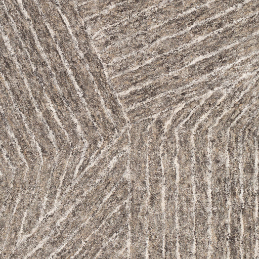 Falcon Hand Tufted Rug