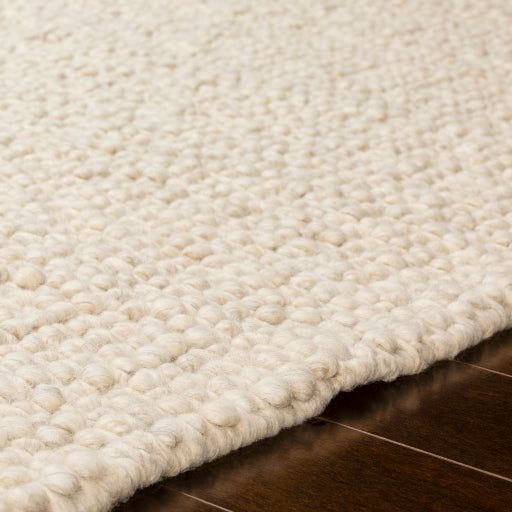 Neravan Hand Woven Wool Area Rug