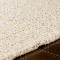 Neravan Hand Woven Wool Area Rug