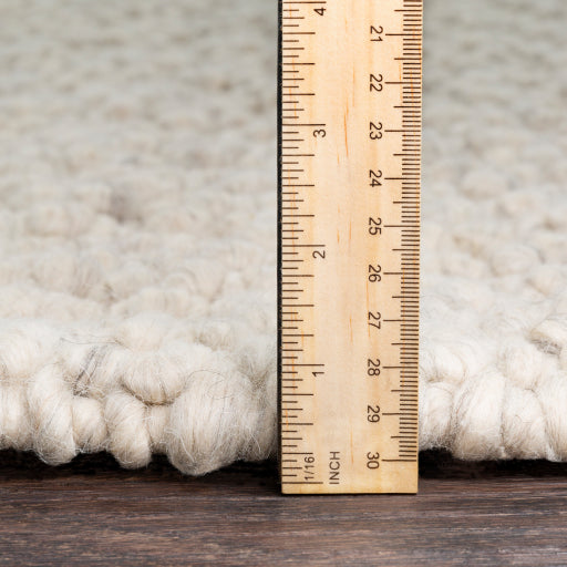 Neravan Hand Woven Wool Area Rug