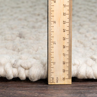 Neravan Hand Woven Wool Area Rug