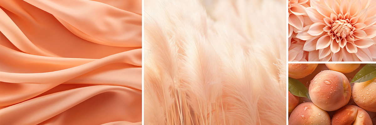 Peach Fuzz Pantone Color Palette