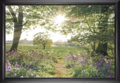 Something Beautiful Nature Path Wall Art