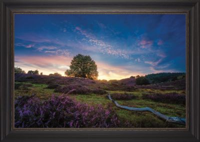 Blue Hour Landscape Photography Wall Art