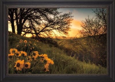 Sunrise Silhouette - 24x36 - Antique Black Frame
