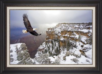 Canyon View Framed Wall Art