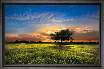 Shadows at Sunset – Golden Hour Wall Art with Colonial Frame
