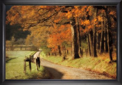 Autumn’s Morning Country Road Wall Art