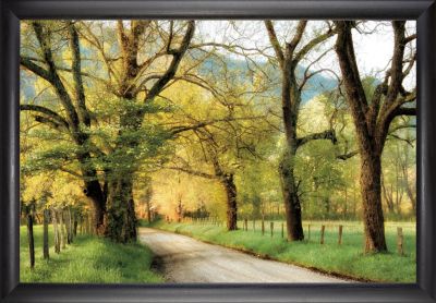 Warm Morning Light - 24x36 - Simple Black Frame