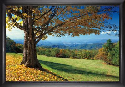 Blue Ridge Beauty - 24x36 - Simple Black Frame