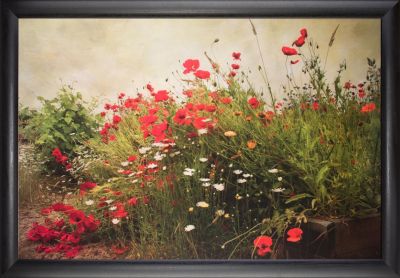 Poppy Garden - 24x36 - Simple Black Frame