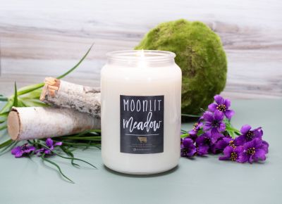 Moonlit Meadow Soy Candle