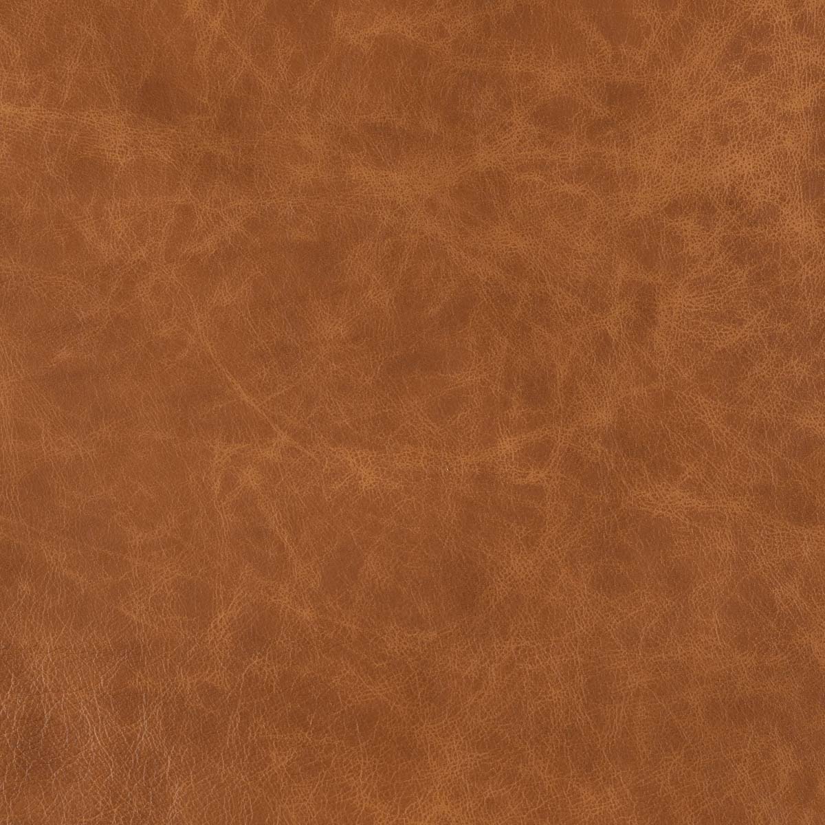 #L331 Bourbon