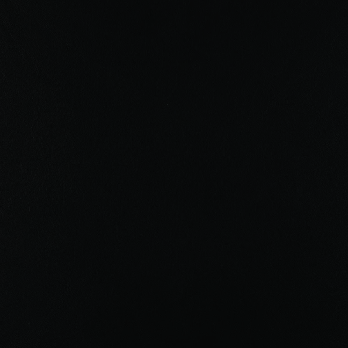 #L210 Black