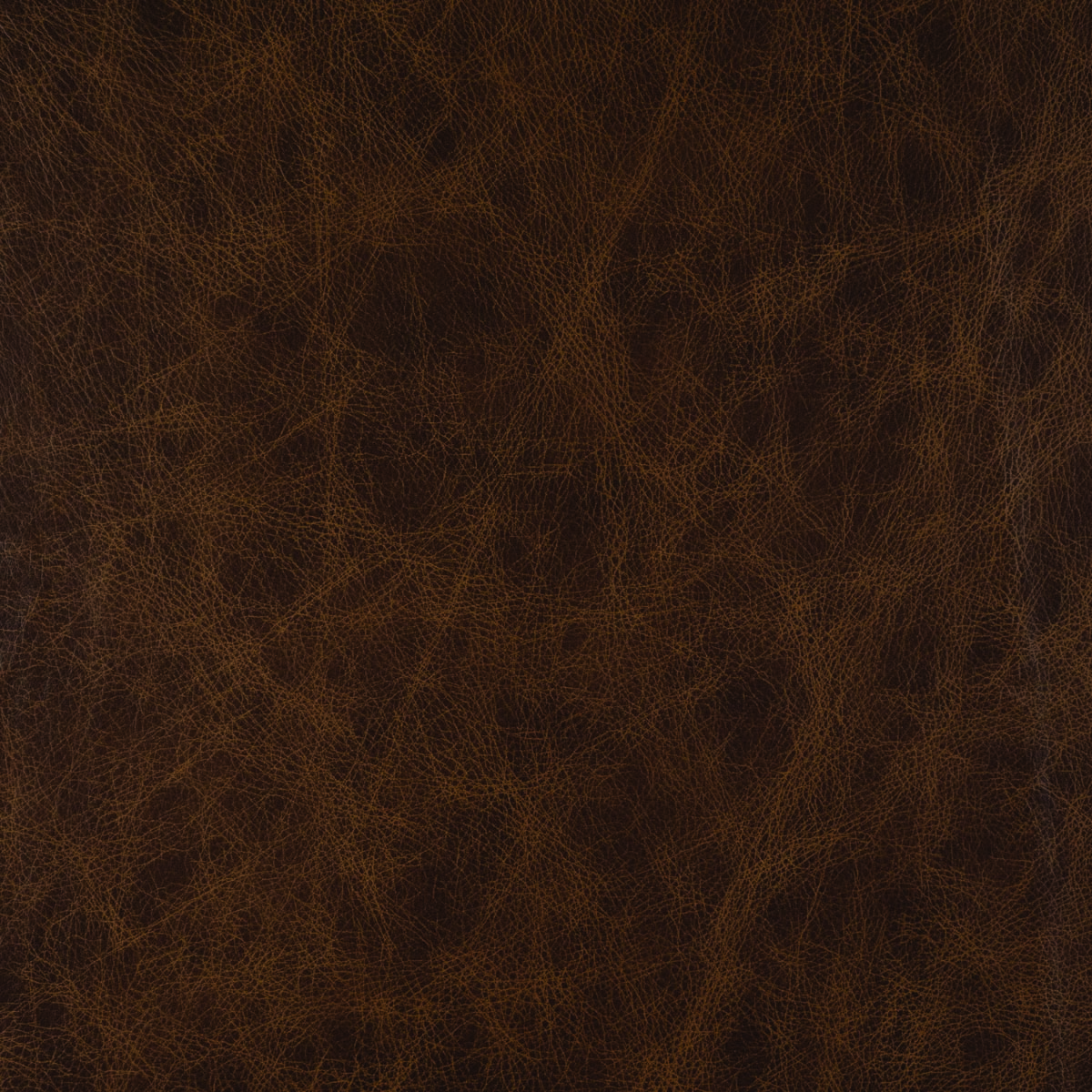 #L325 Cinnamon