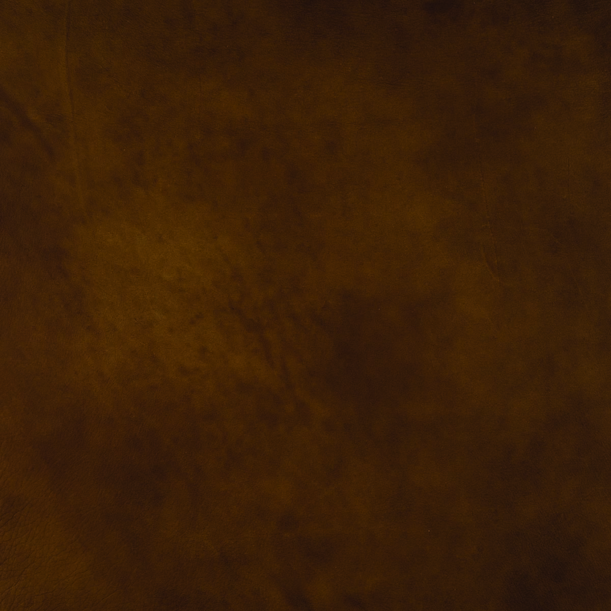 #L330 Caramel