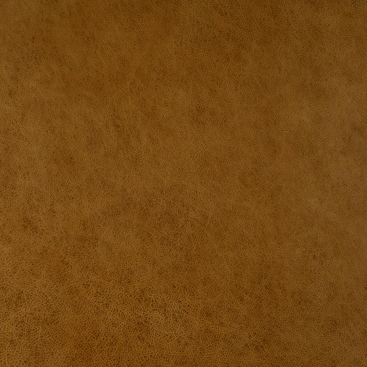 #L335 Vanilla Crumb