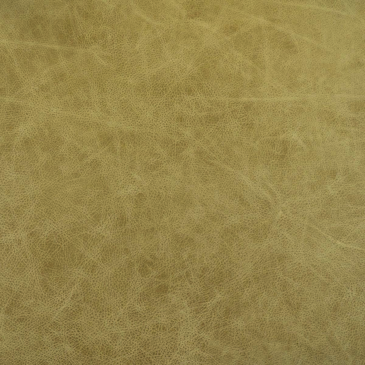 #L530 Ginger Root
