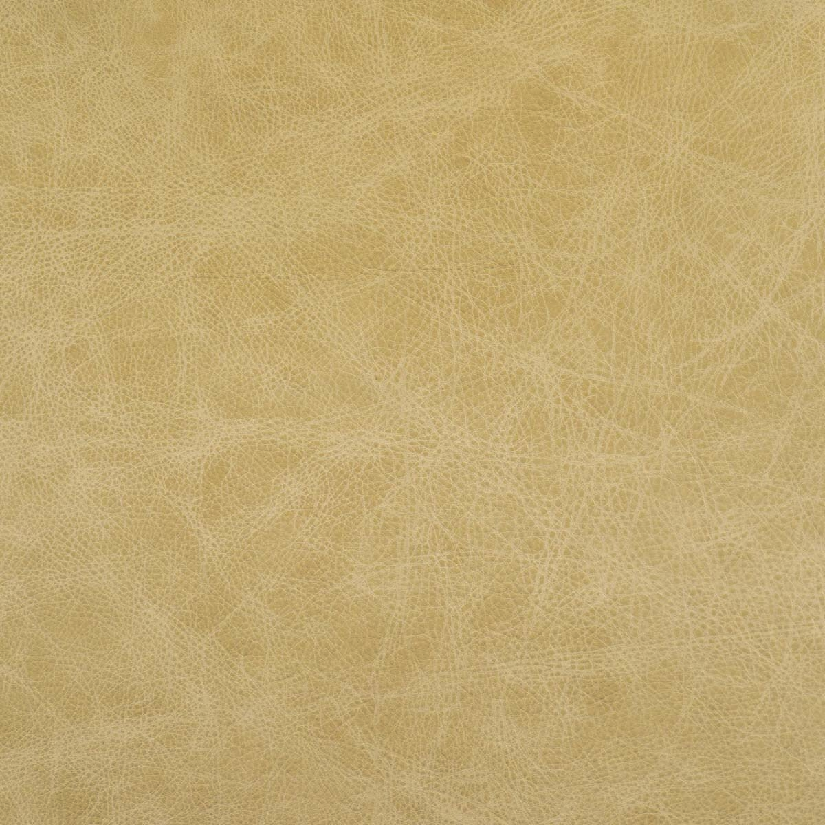 #L535 Creamy Cappuccino