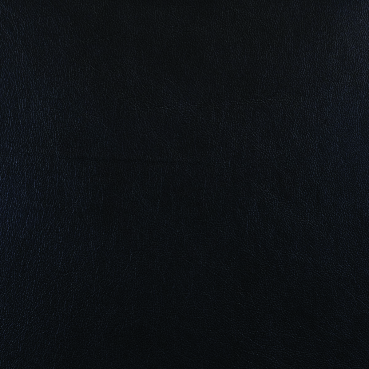 #L725 Navy