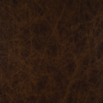 #L325 Cinnamon