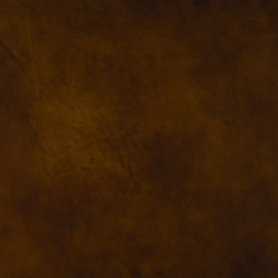 #L330 Caramel