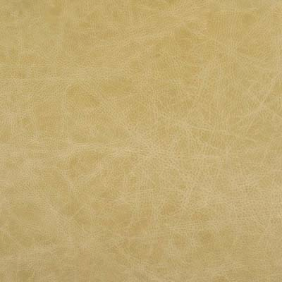 #L535 Creamy Cappuccino