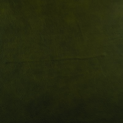 #L630 Forest Shade