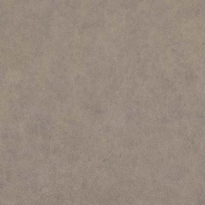 #L522 Sea Shell