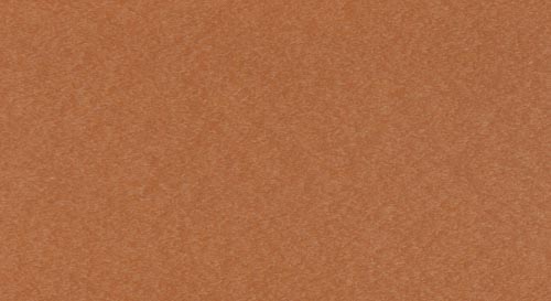 Cedar
