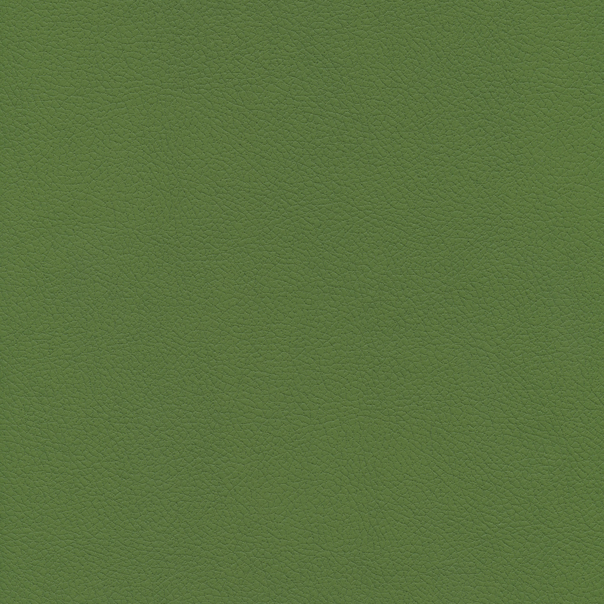 #100 Brisa Apple Green