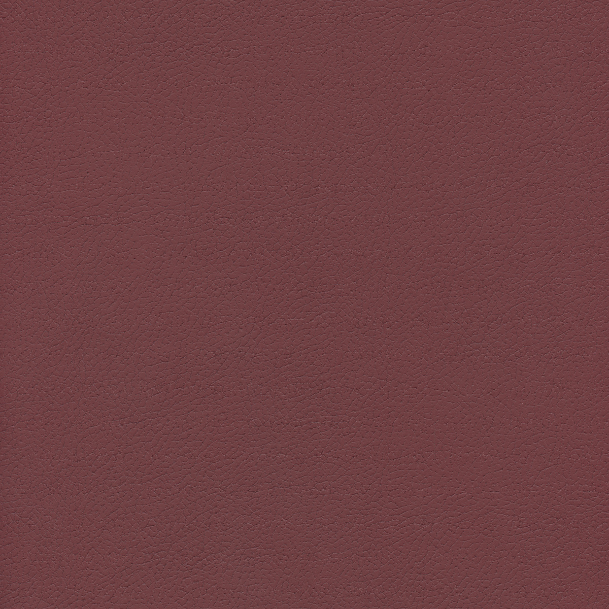 #100 Brisa Beet Root