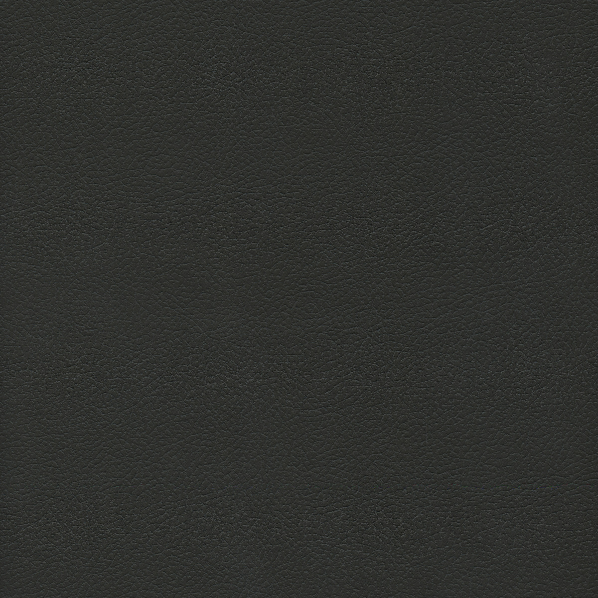 #100 Brisa Black Onyx
