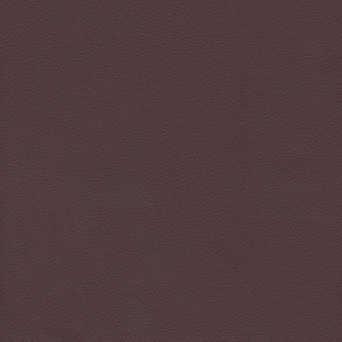 #100 Brisa Cabernet