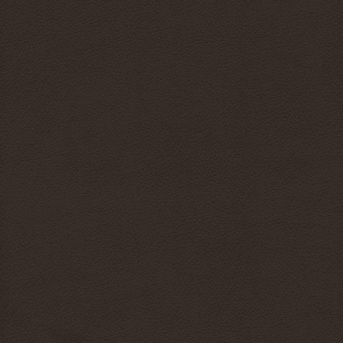 #100 Brisa Coffee Bean