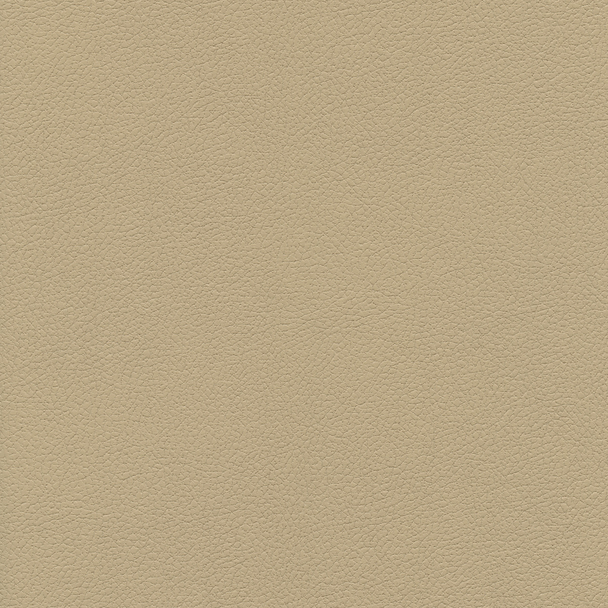 #100 Brisa Desert Clay