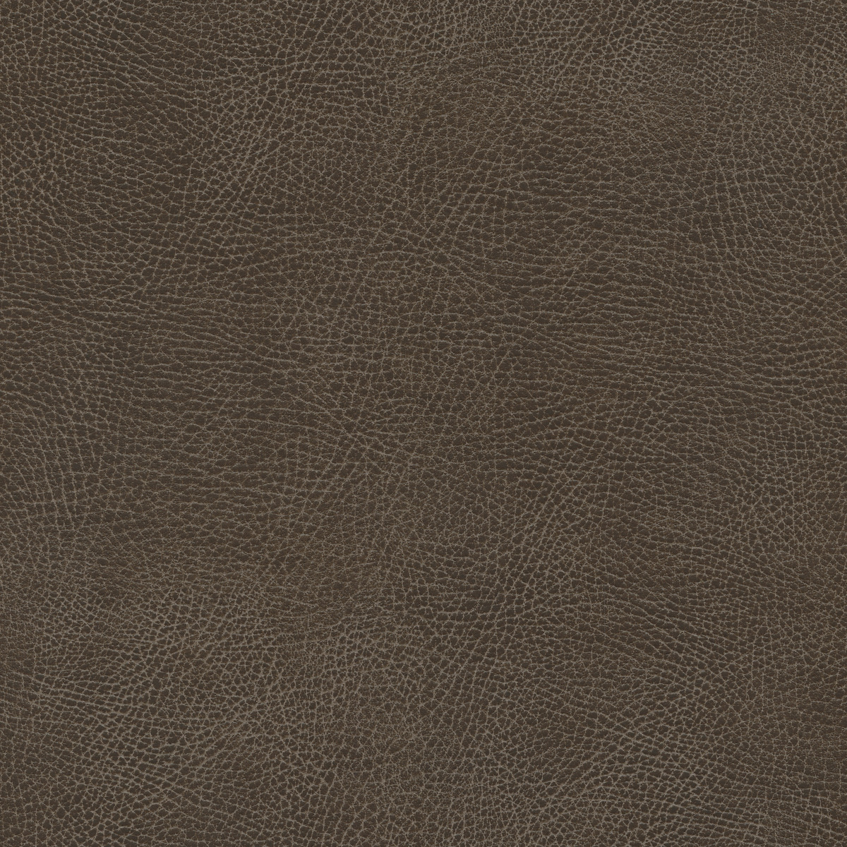#100 Brisa Distressed Bison