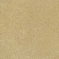 #100 Brisa Distressed Chamois