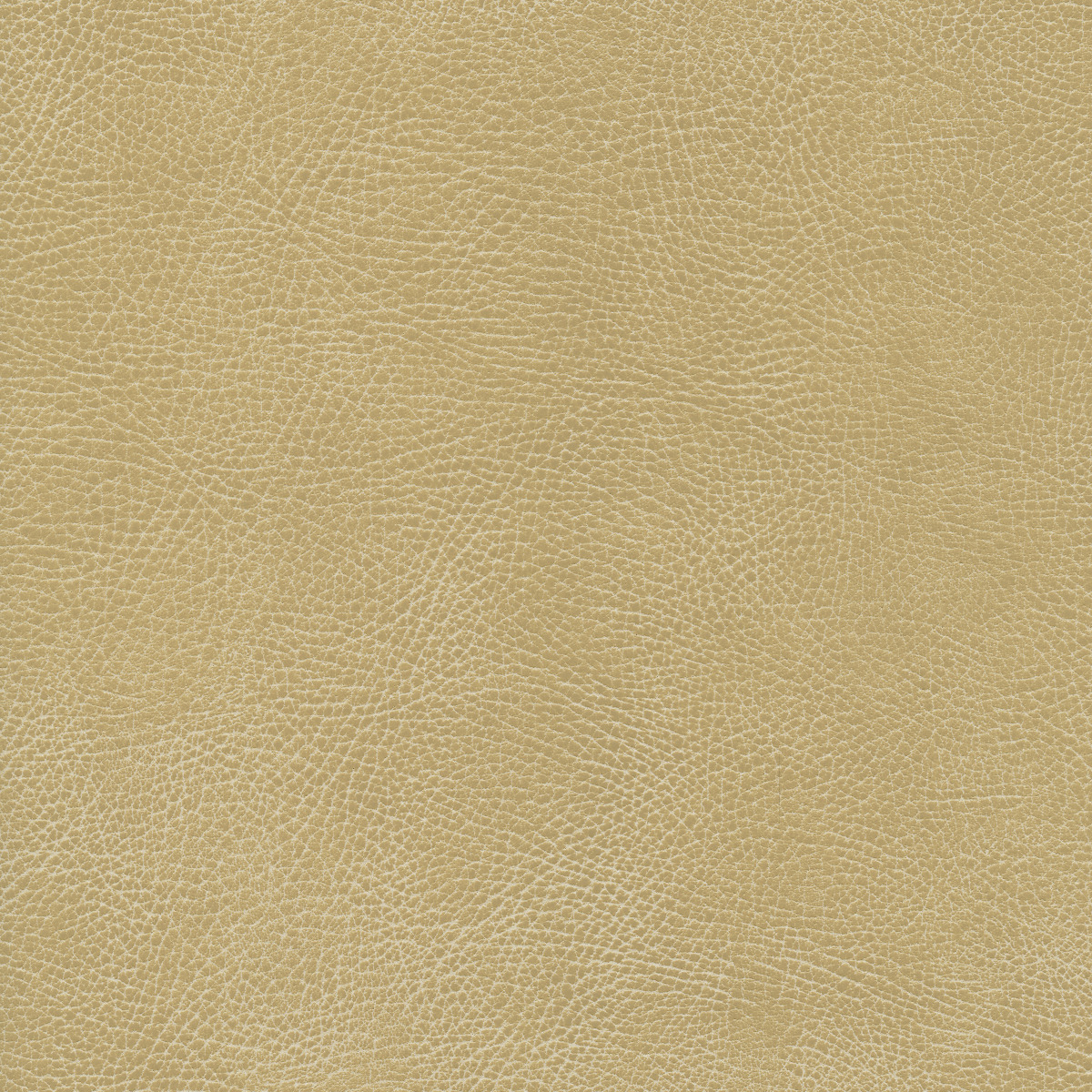 #100 Brisa Distressed Chamois