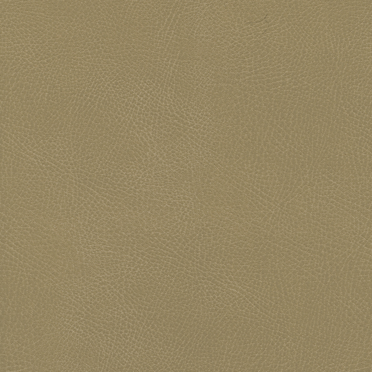 #100 Brisa Distressed Desert Tan
