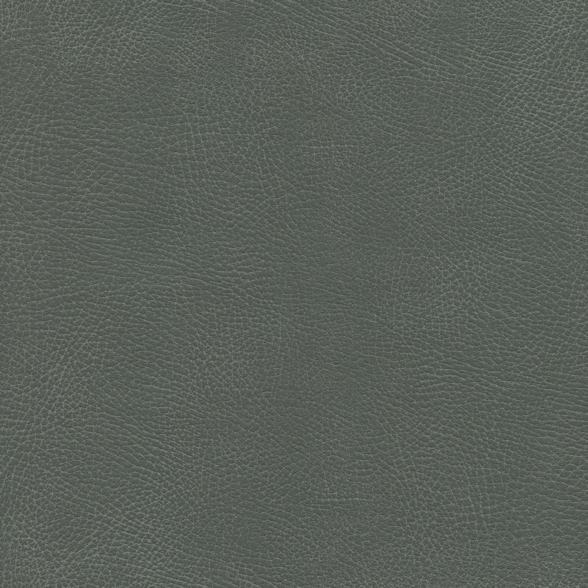 #100 Brisa Distressed Iron