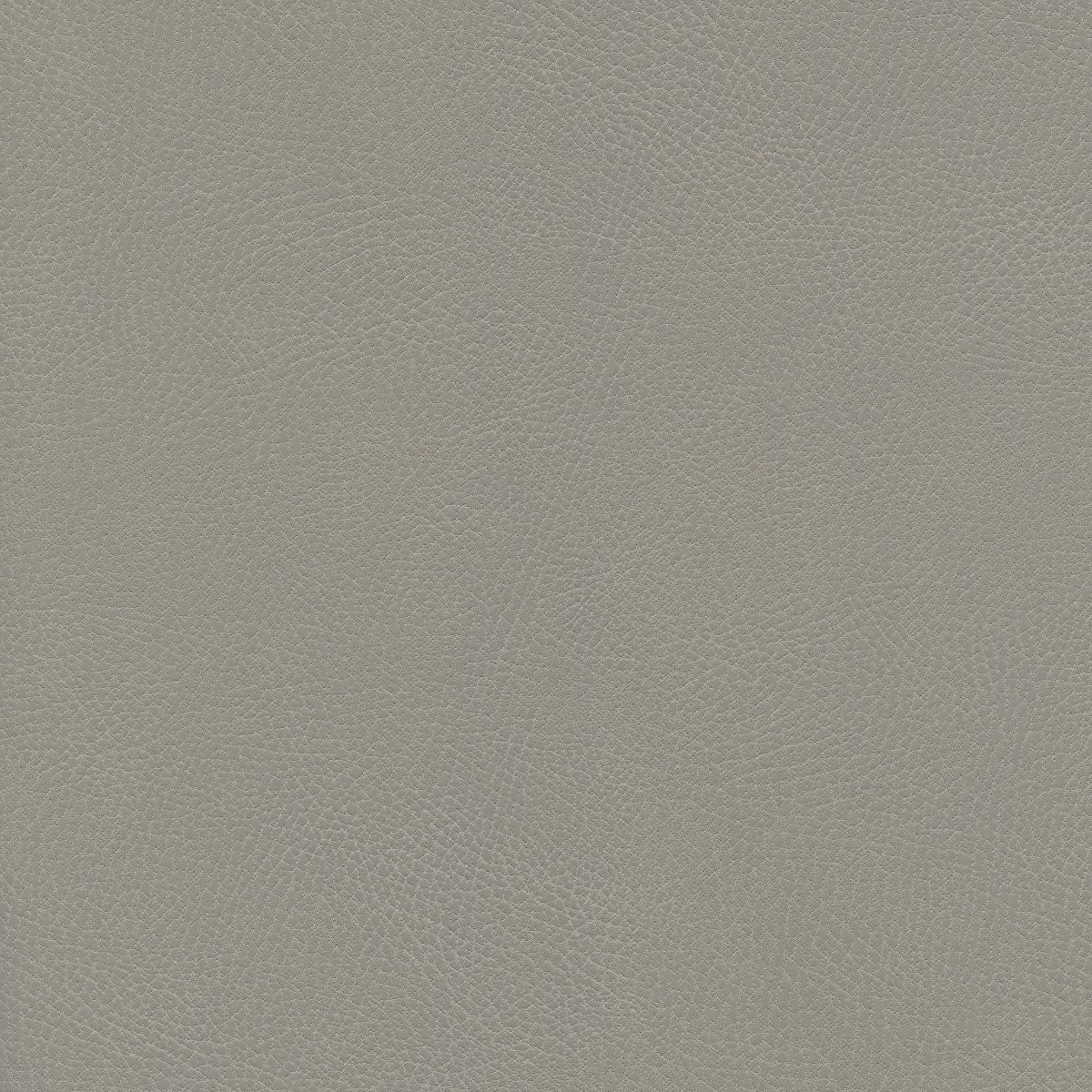 #100 Brisa Distressed Shield