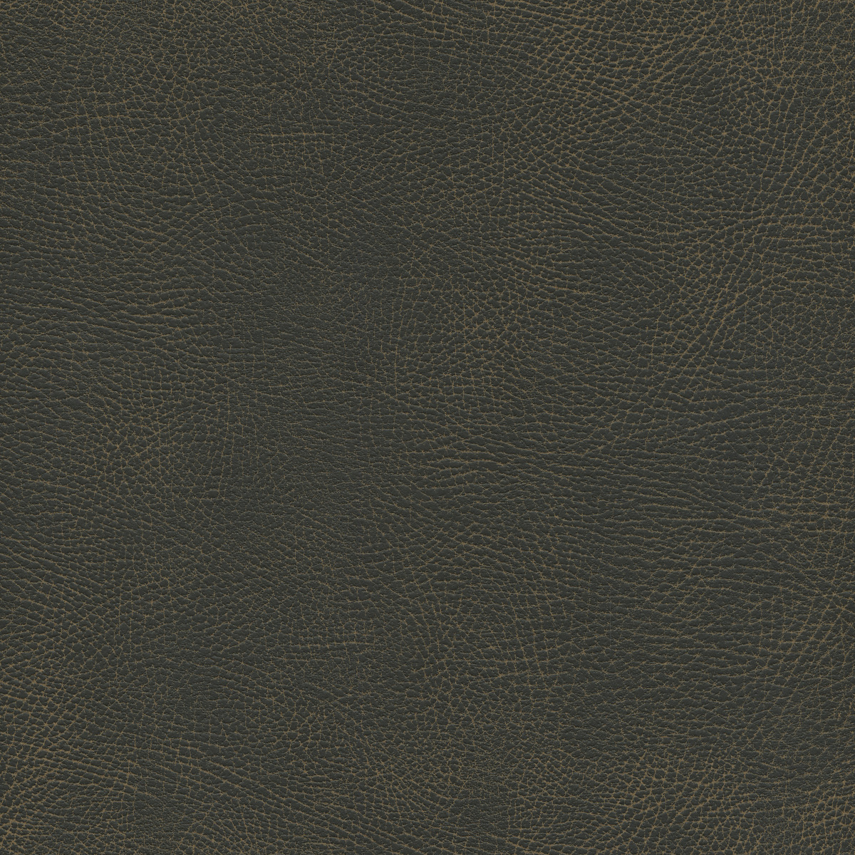 #100 Brisa Distressed Steerhide