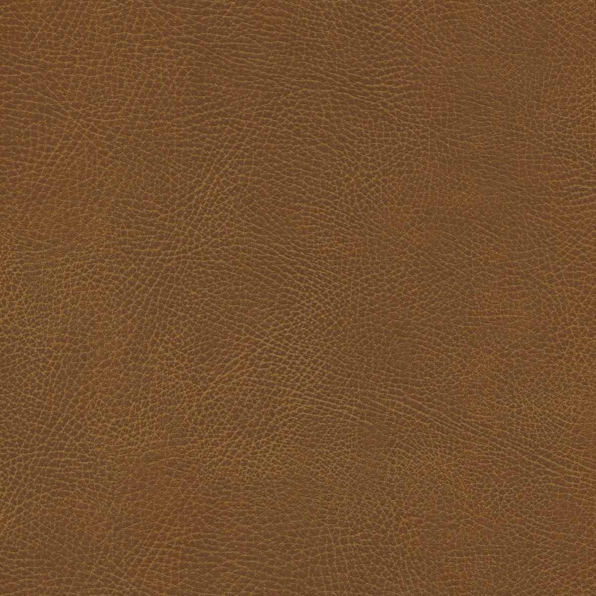 #100 Brisa Distressed Waylan