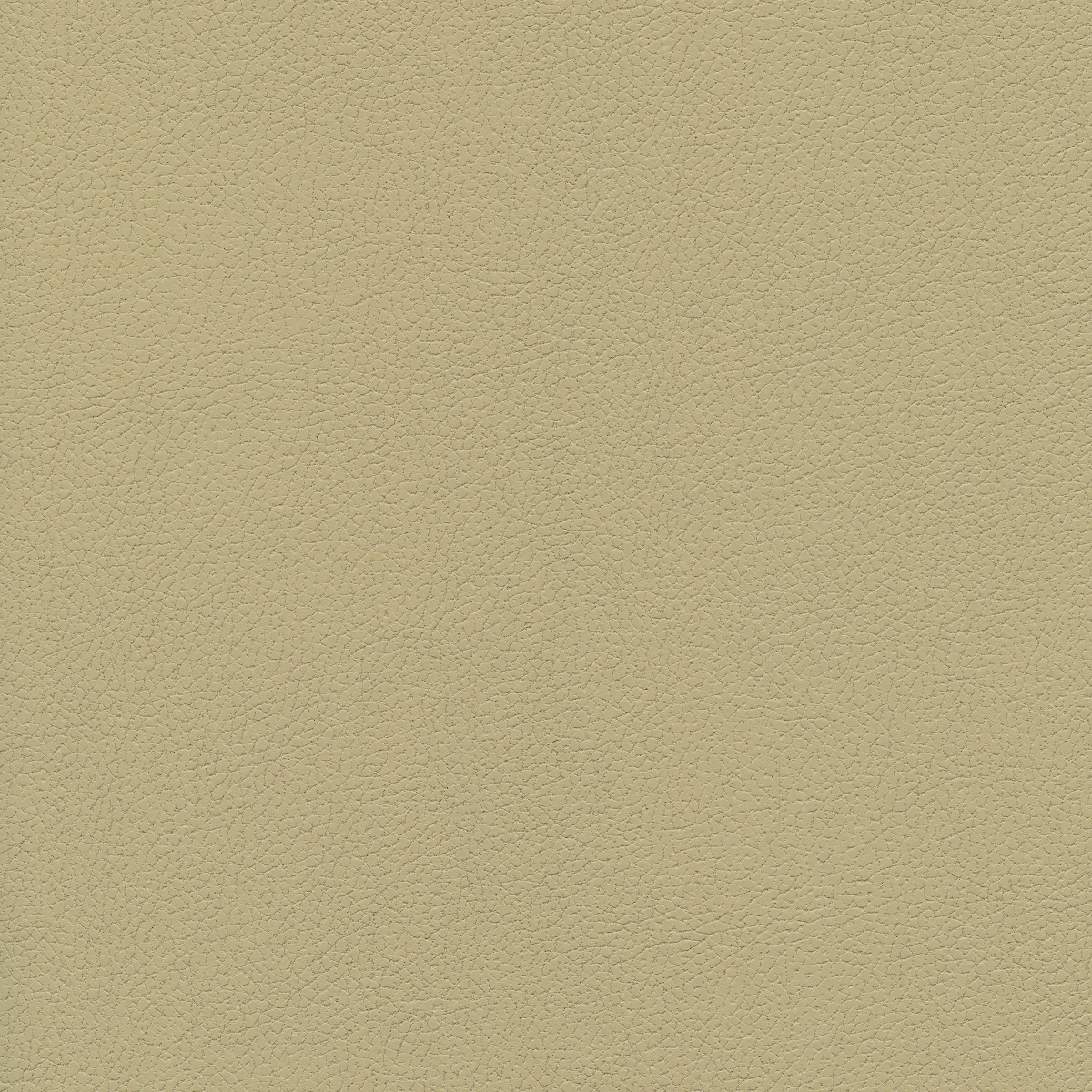 #100 Brisa New Sand