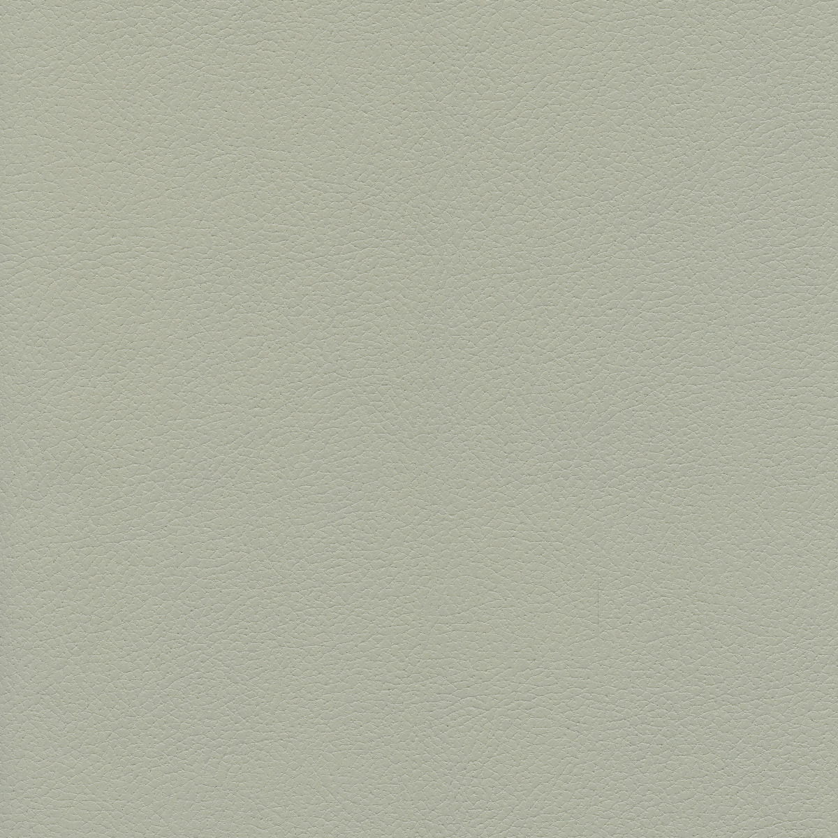#100 Brisa Quicksilver