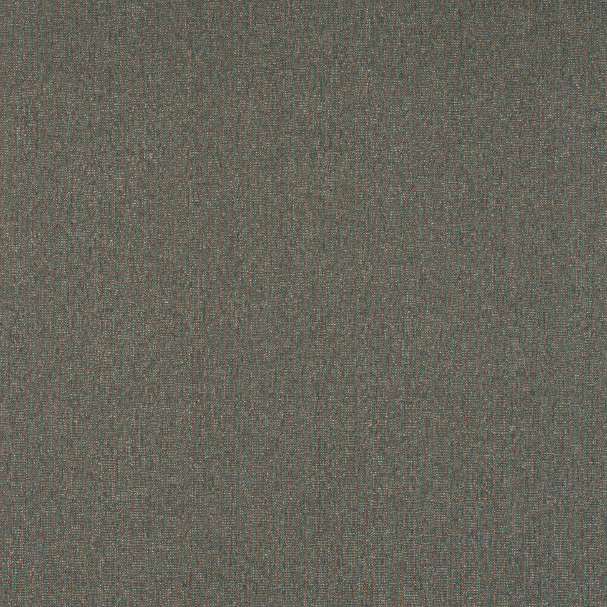 #11165 Essential Willow